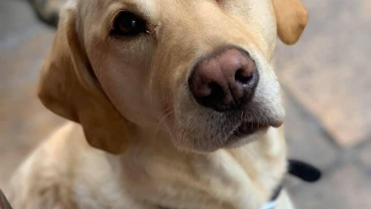 Photo of Bedroom in Rode