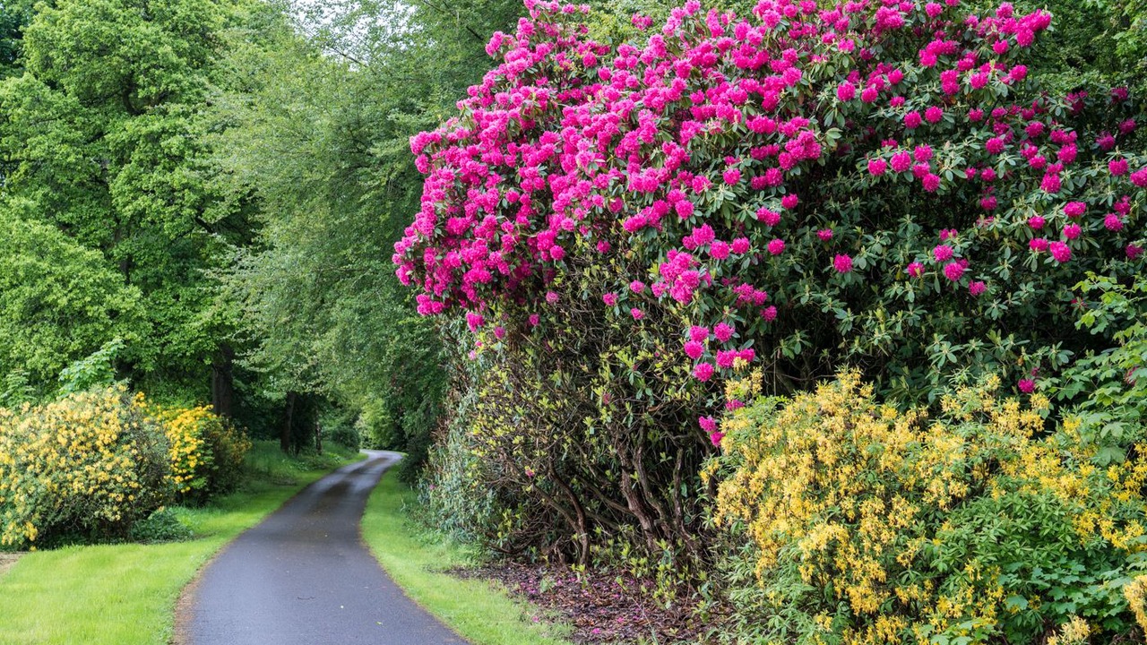 Photo of Outdoor in Stirling