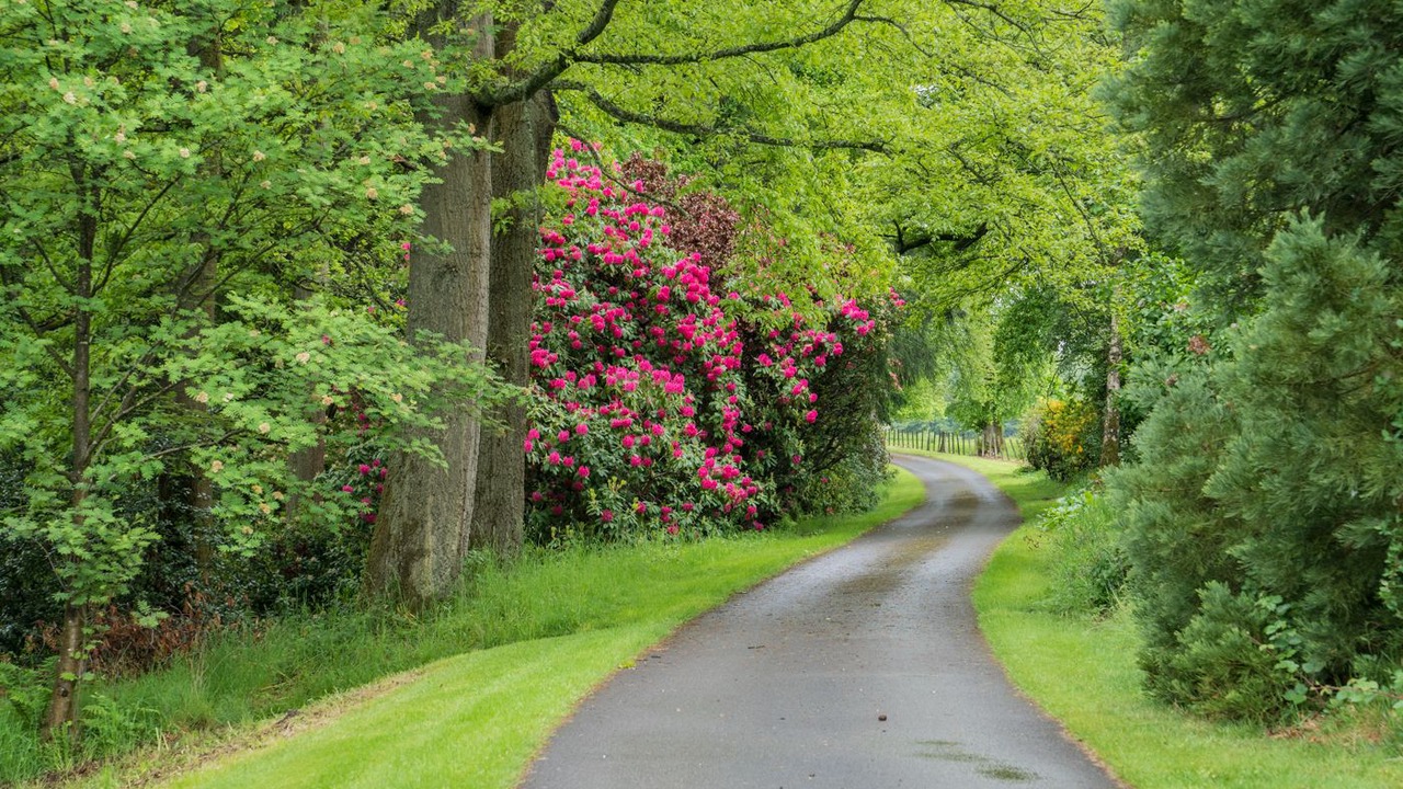 Photo of Outdoor in Stirling