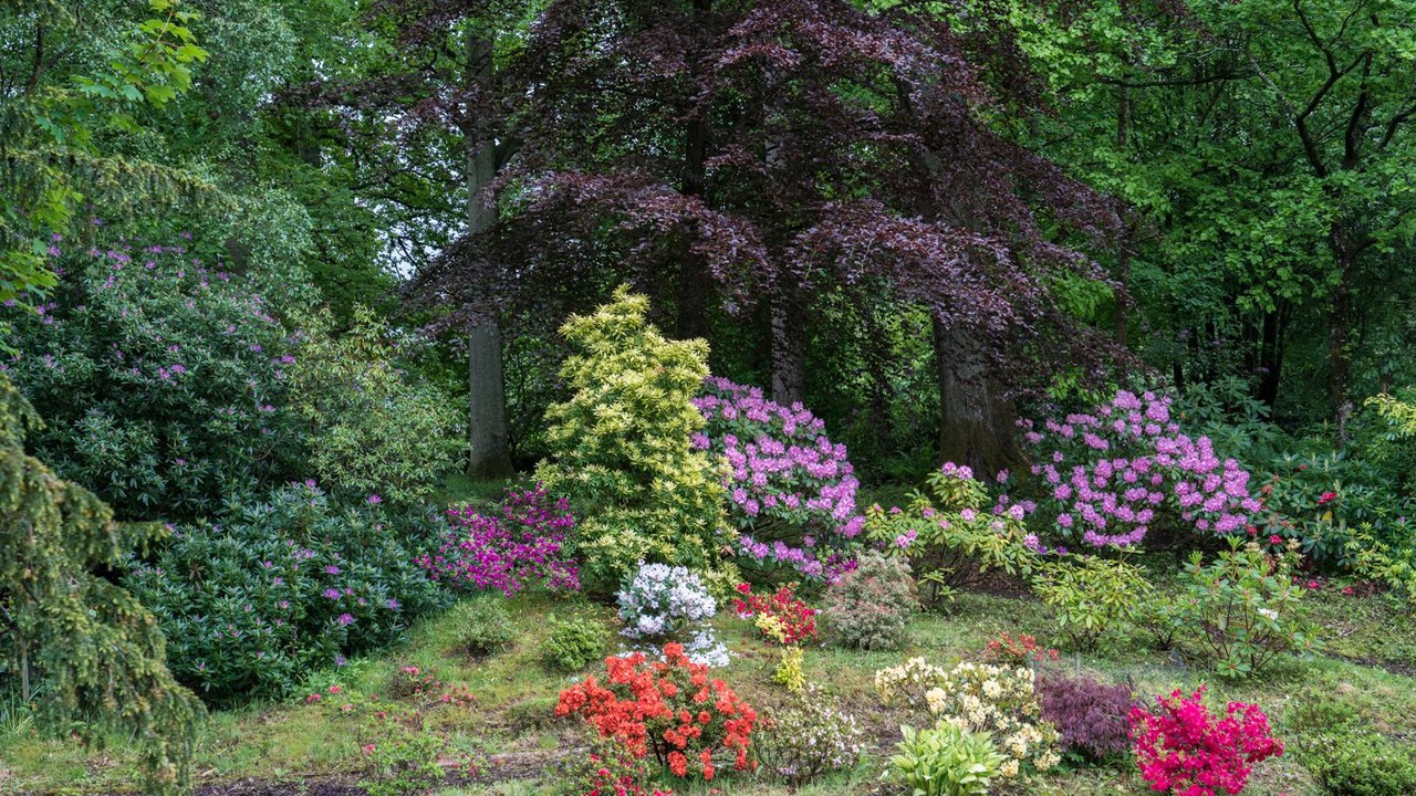 Photo of Outdoor in Stirling