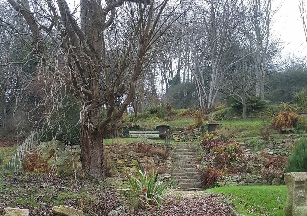 Photo of Others in Woodchester