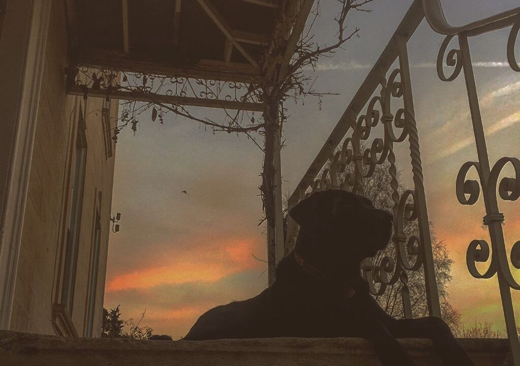 Photo of Others in Woodchester