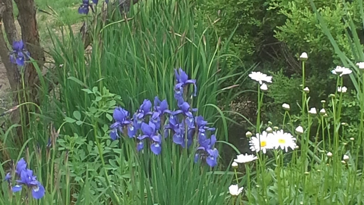 Photo of Outdoor in Ames