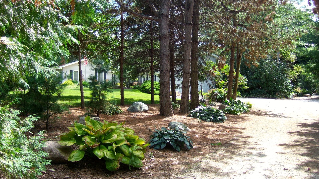 Photo of Outdoor in Ames