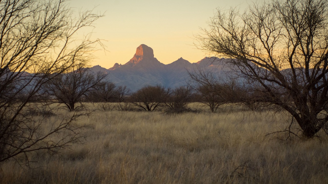 Photo of Outdoor in Sasabe