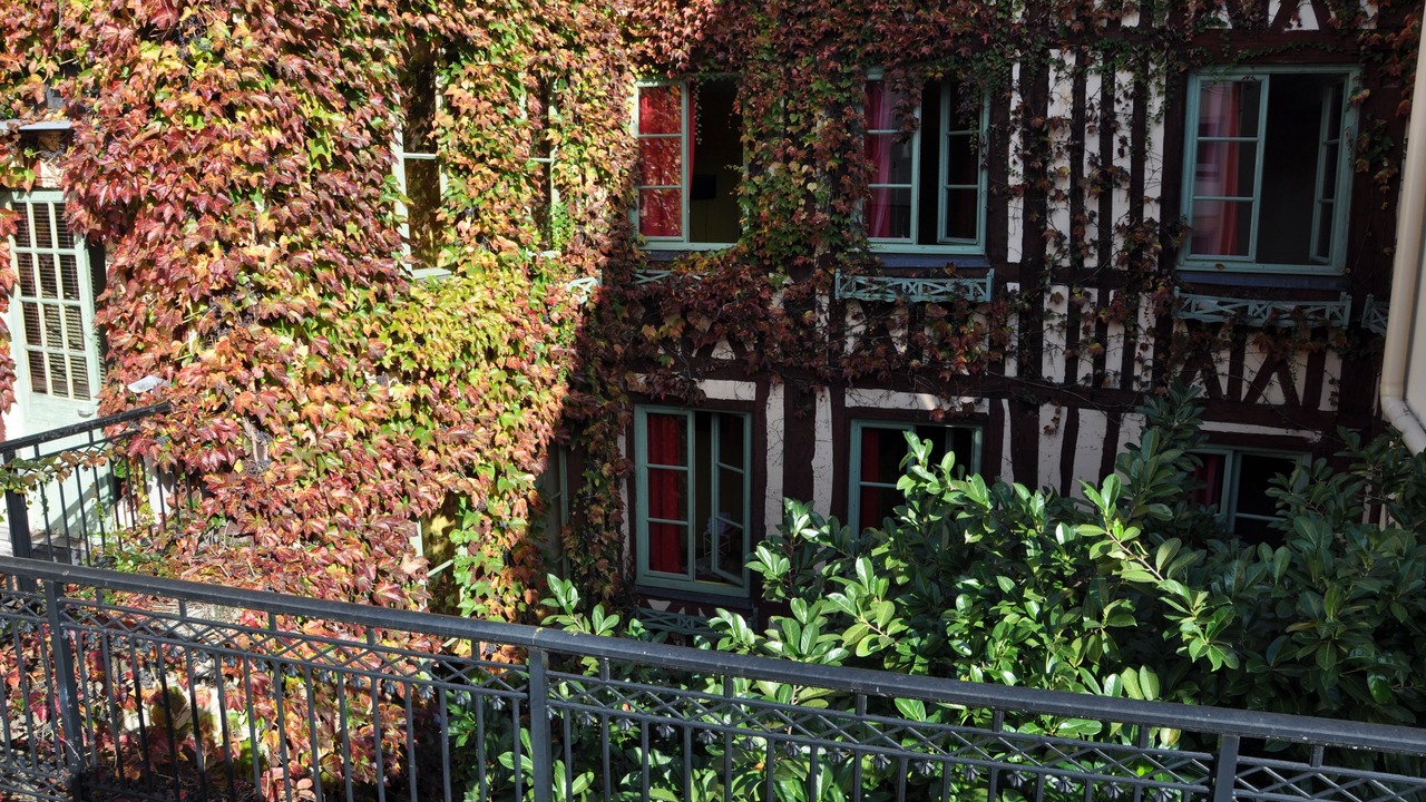 Photo of Outdoor in Quartier Vieux Marche-Cathedrale