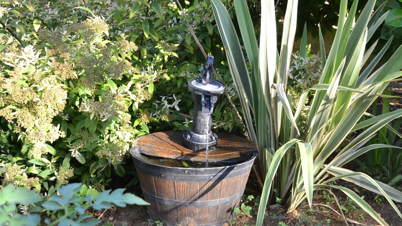 Photo of Outdoor in Lunel