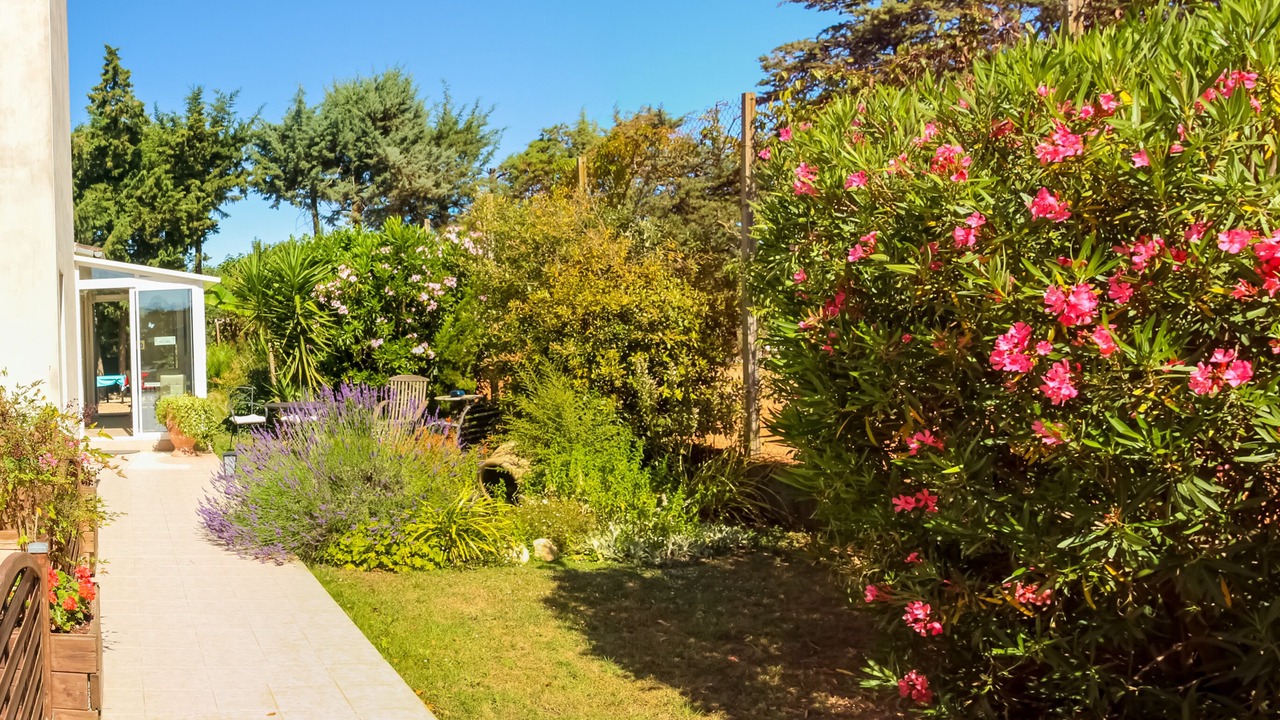 Photo of Outdoor in Lunel