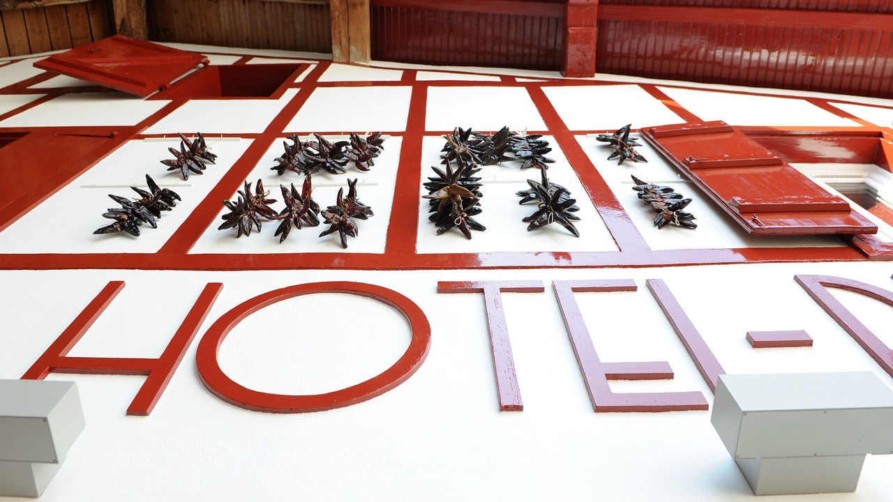 Photo of Outdoor in Espelette