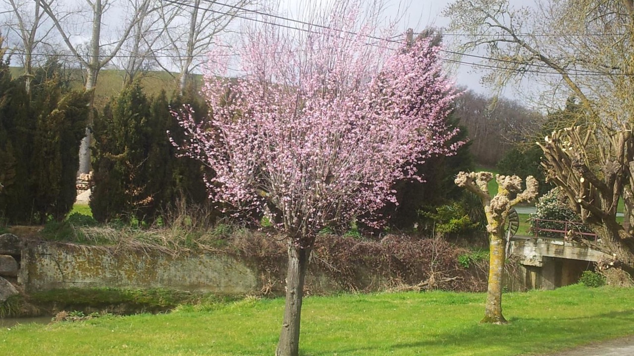 Photo of Outdoor in Le Moulin d'Encor