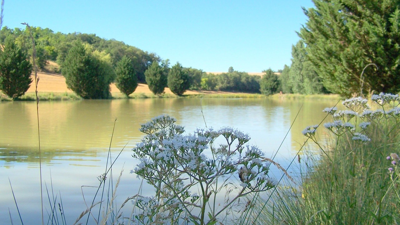 Photo of Others in Le Moulin d'Encor