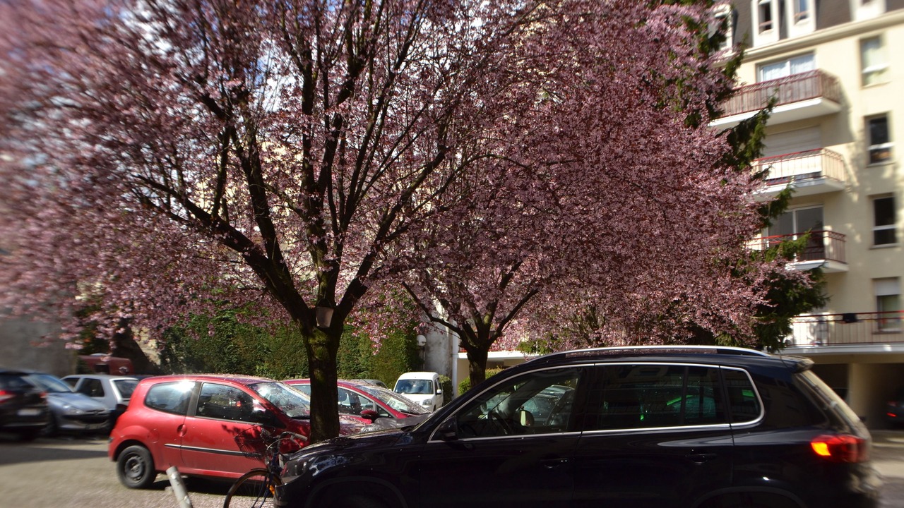 Photo of Others in Capucins - Victoire