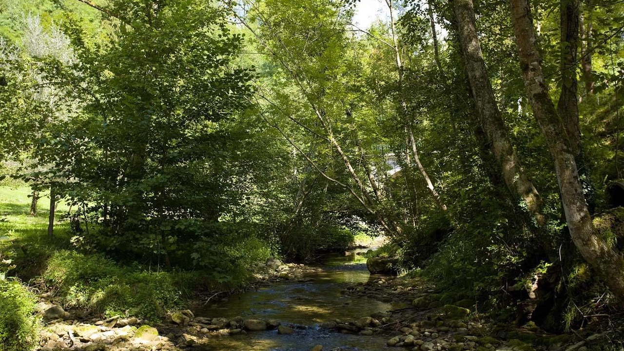 Photo of Outdoor in Les Echelles