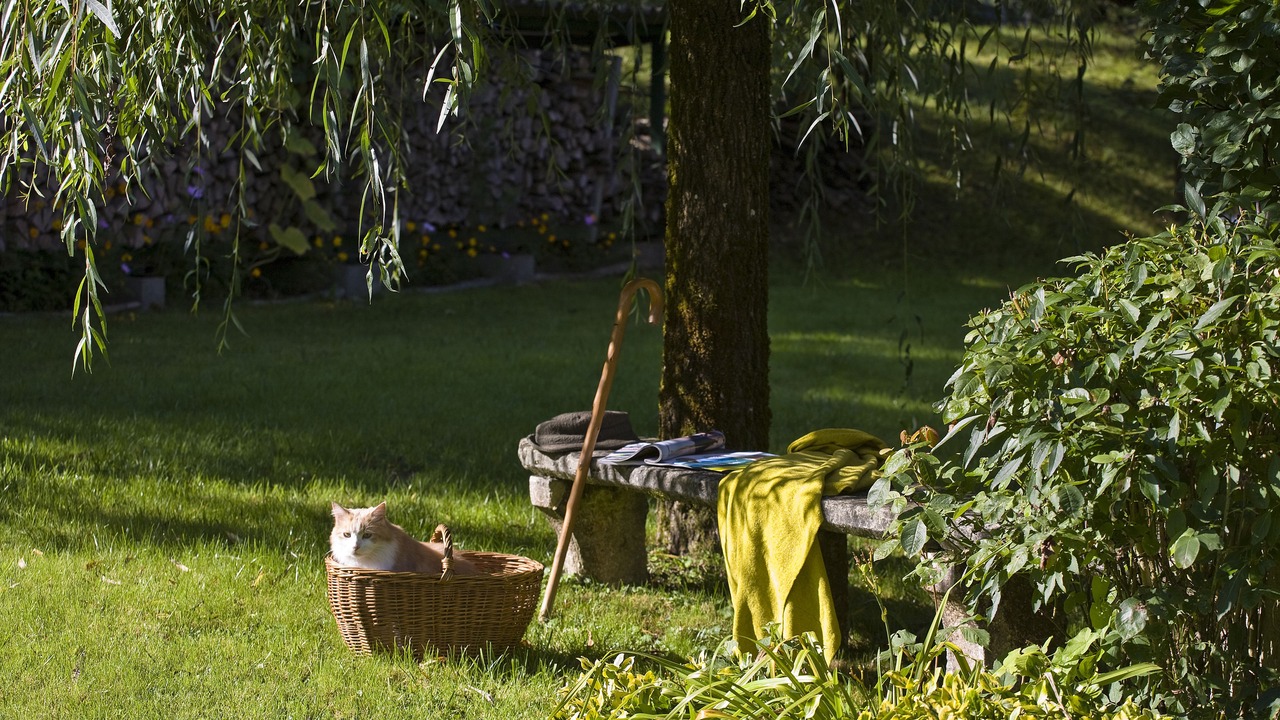 Photo of Outdoor in Les Echelles