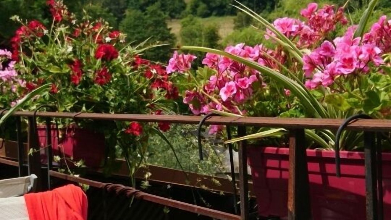 Photo of Others in Les Echelles