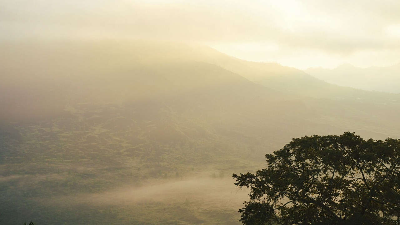 Photo of Others in Kintamani