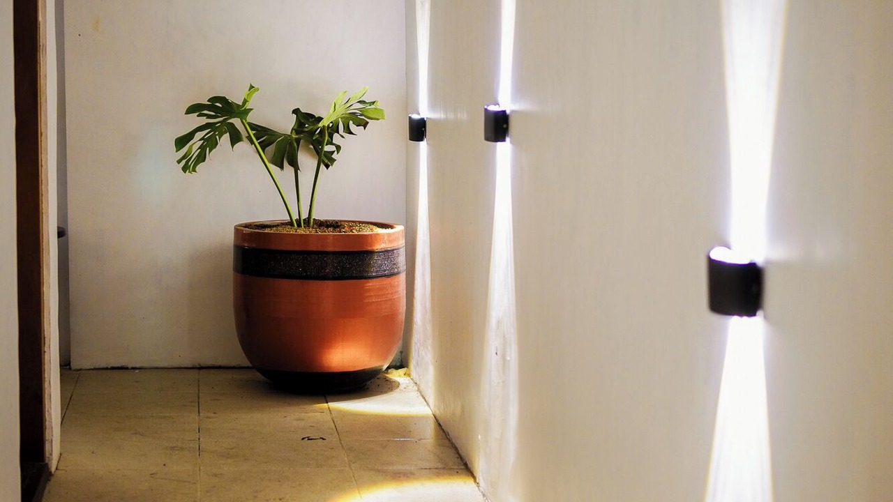 Photo of Outdoor in Kintamani