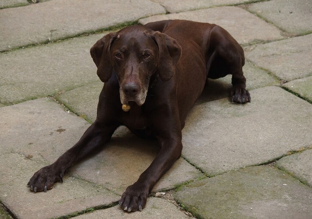 Photo of Others in Chalmazel-Jeansagniere