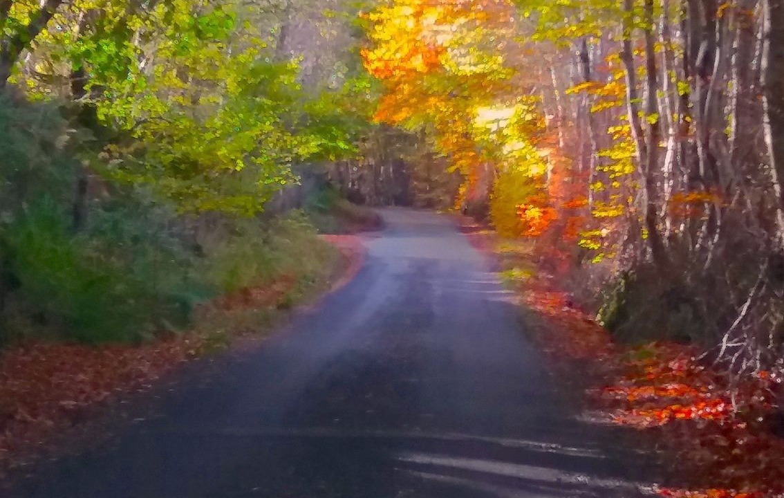 Photo of Outdoor in Loch Ness
