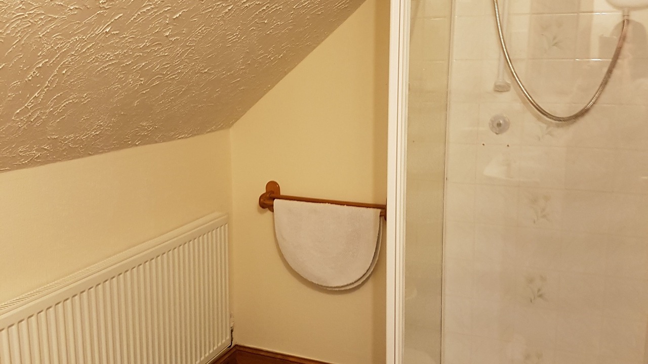 Photo of Others in Stromness