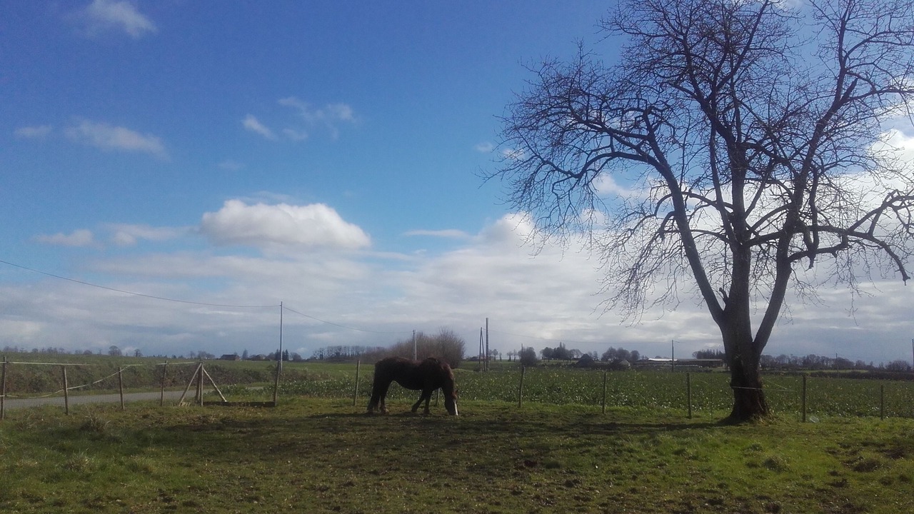 Photo of Outdoor in Loscouet-sur-Meu