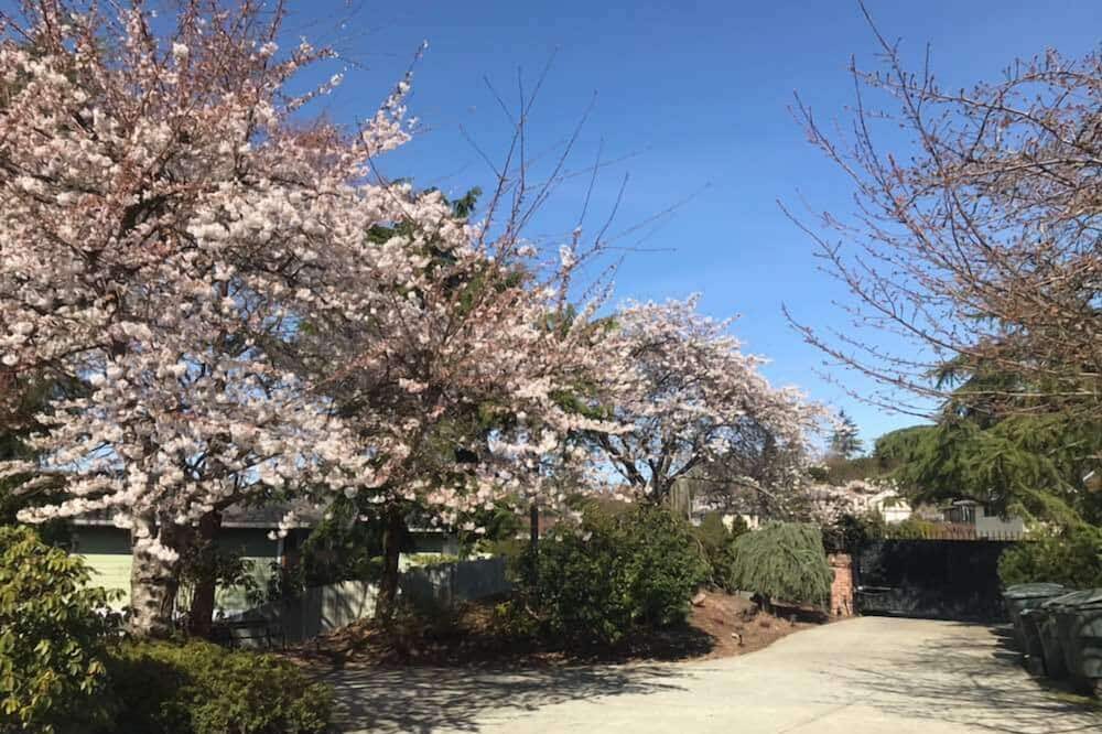 Photo of Outdoor in The Bowl of Edmonds