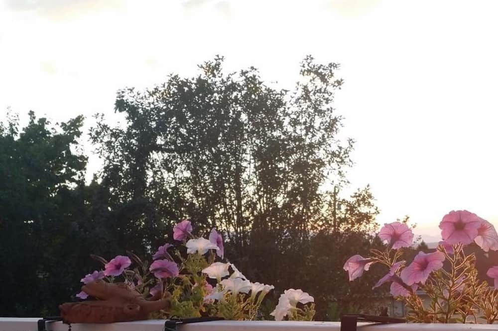 Photo of Outdoor in The Bowl of Edmonds