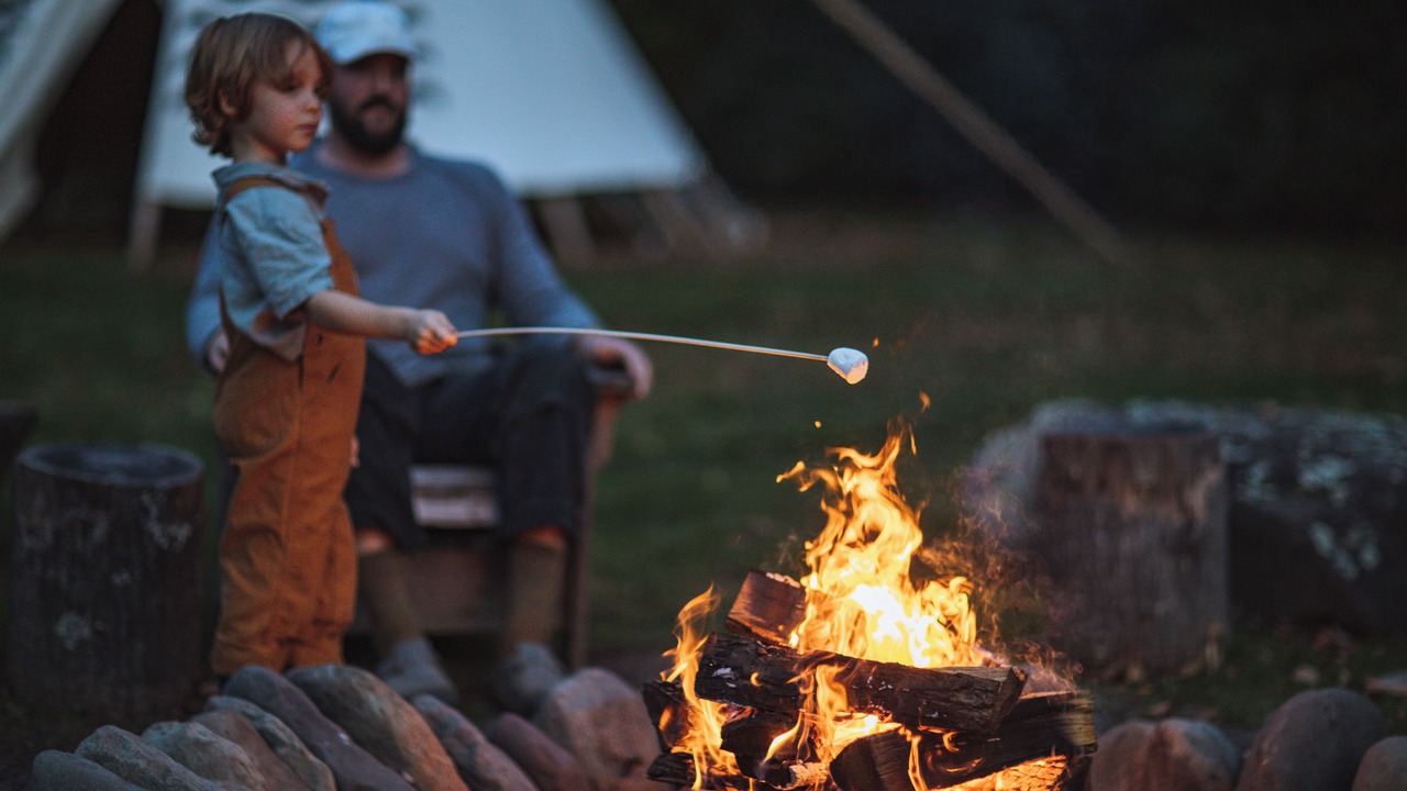 Photo of Others in Phoenicia