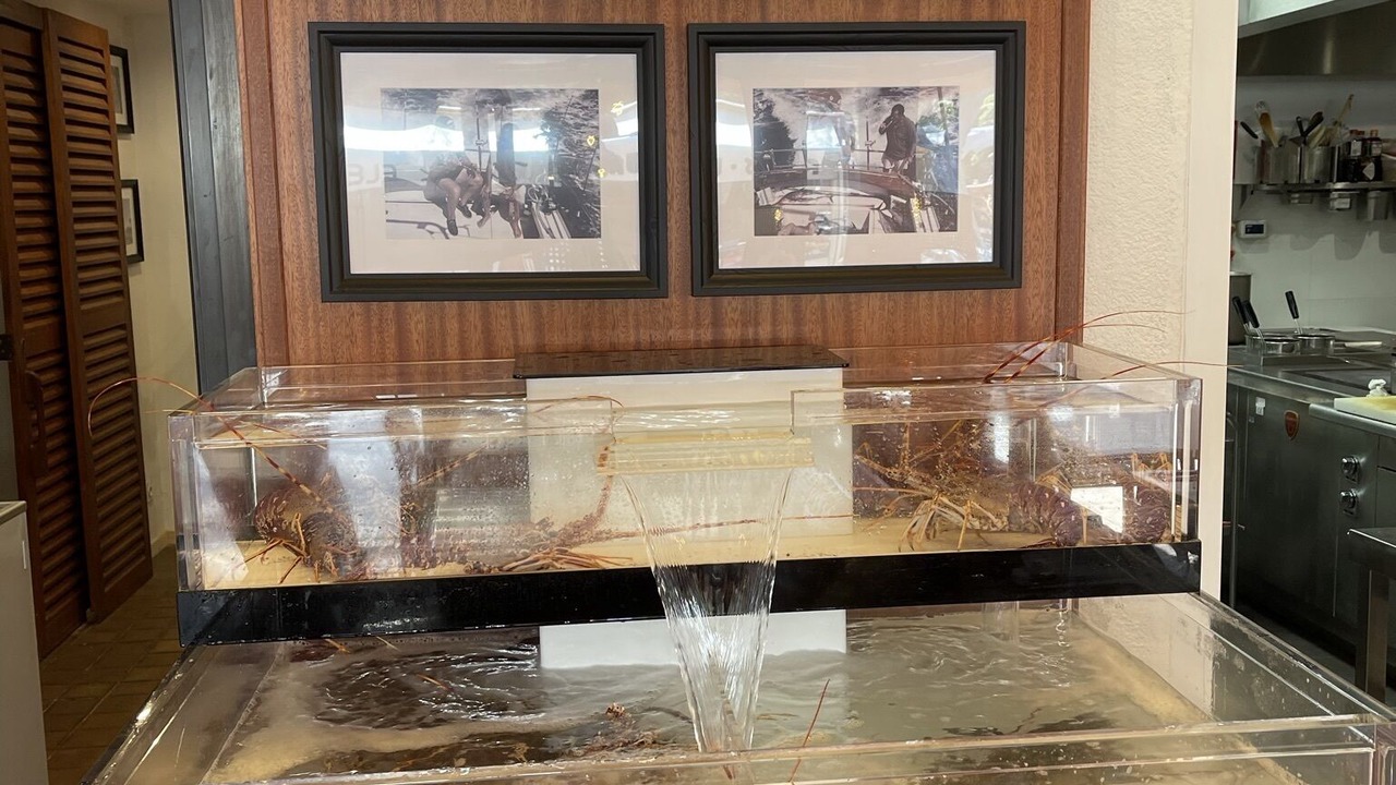 Photo of Others in Porquerolles