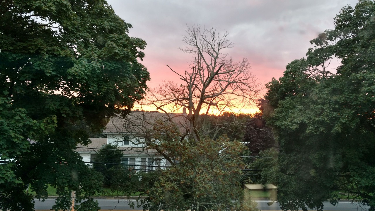 Photo of Others in Numidia