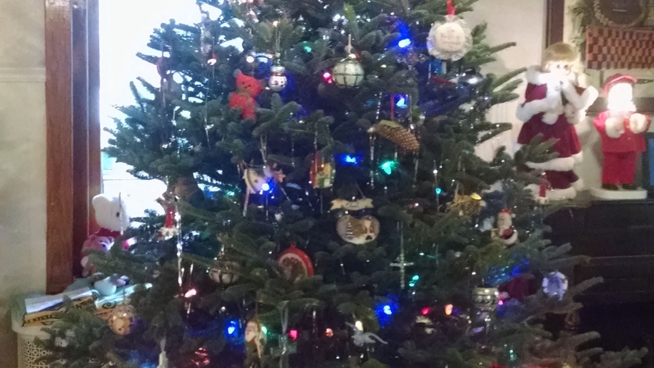 Photo of Others in Numidia