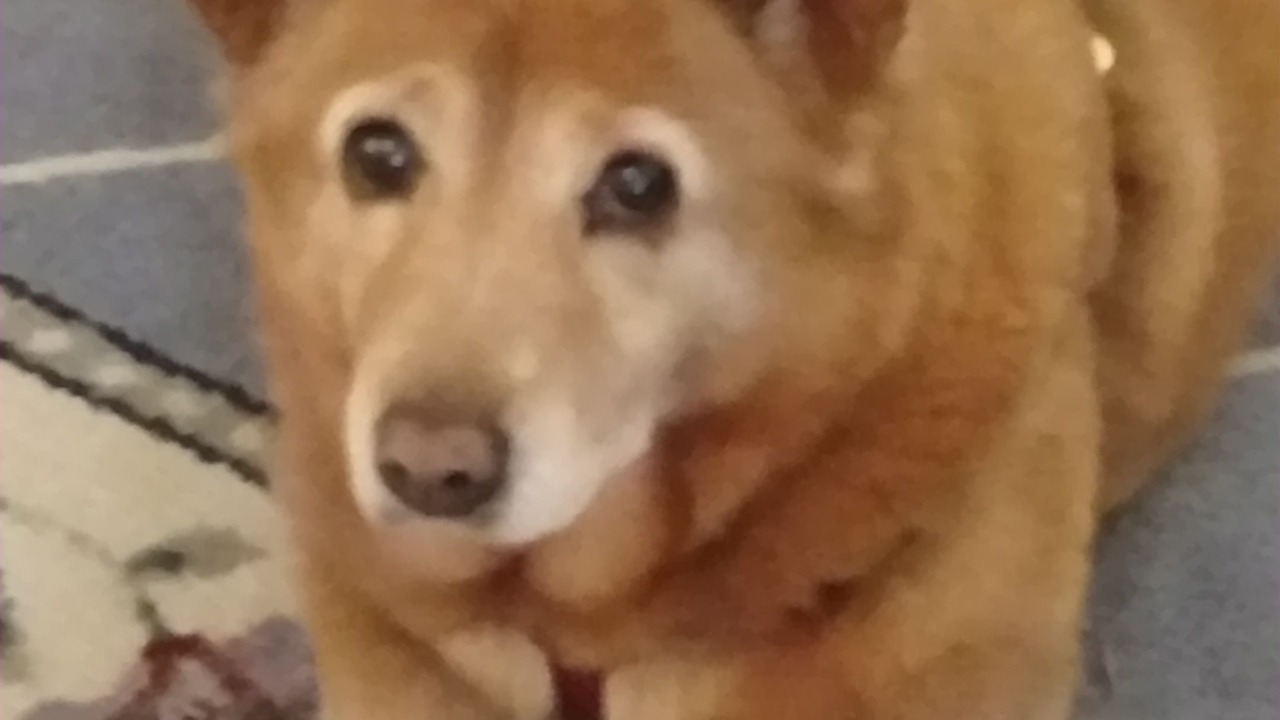 Photo of Others in Numidia