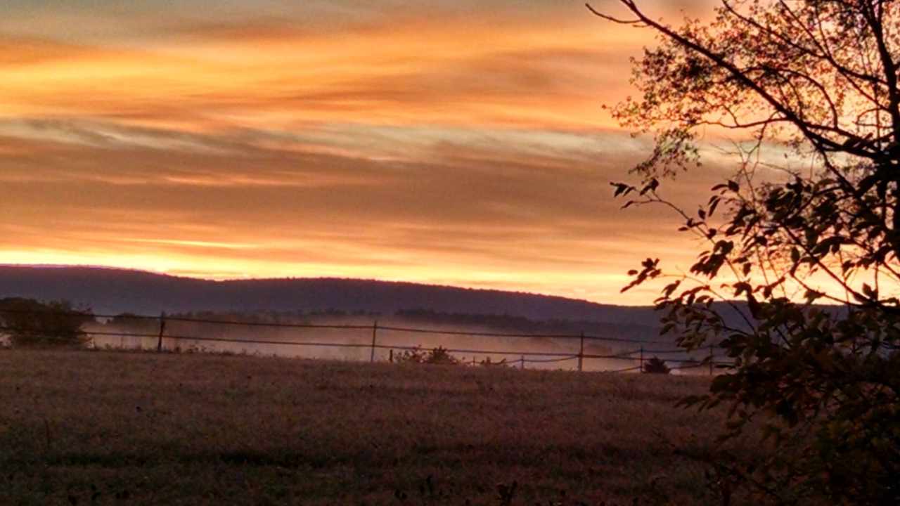 Photo of Others in Numidia