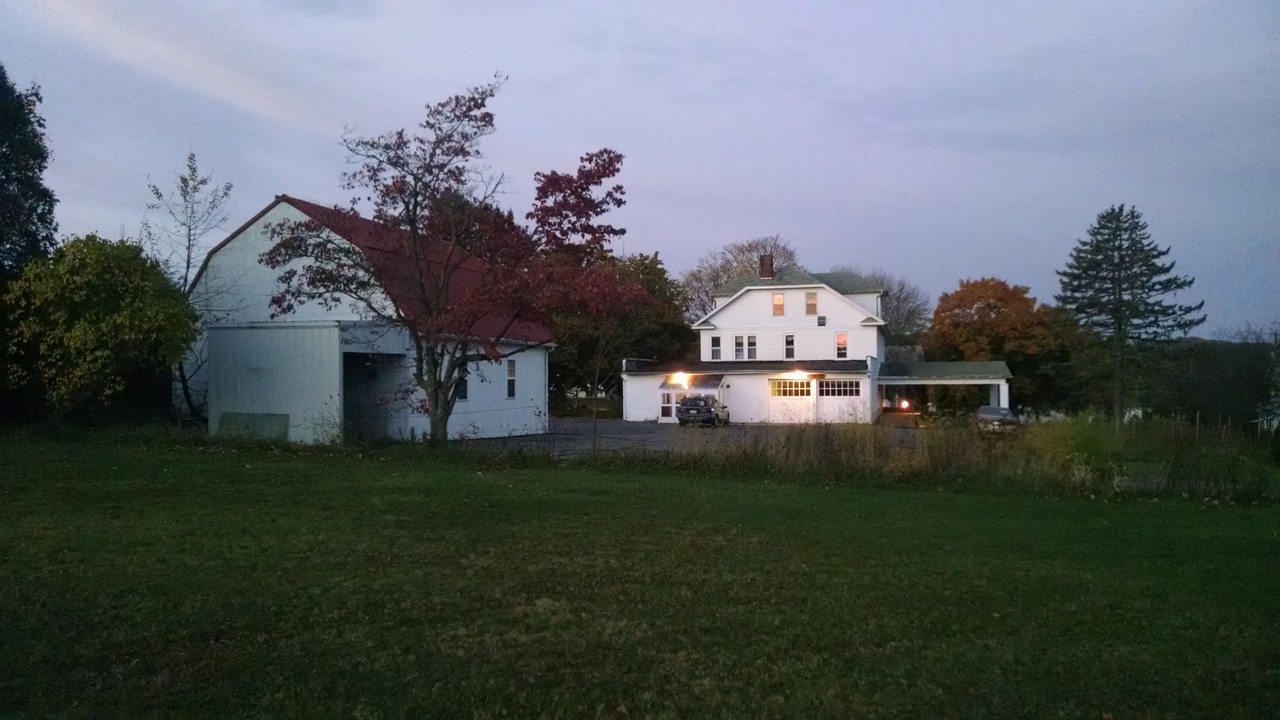 Photo of Others in Numidia