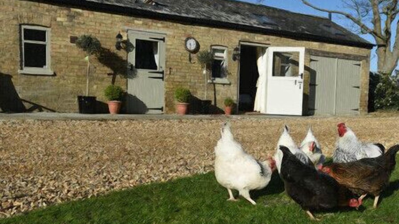 Photo of Others in Lincoln