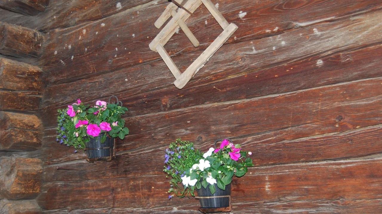 Photo of Outdoor in Anzonico