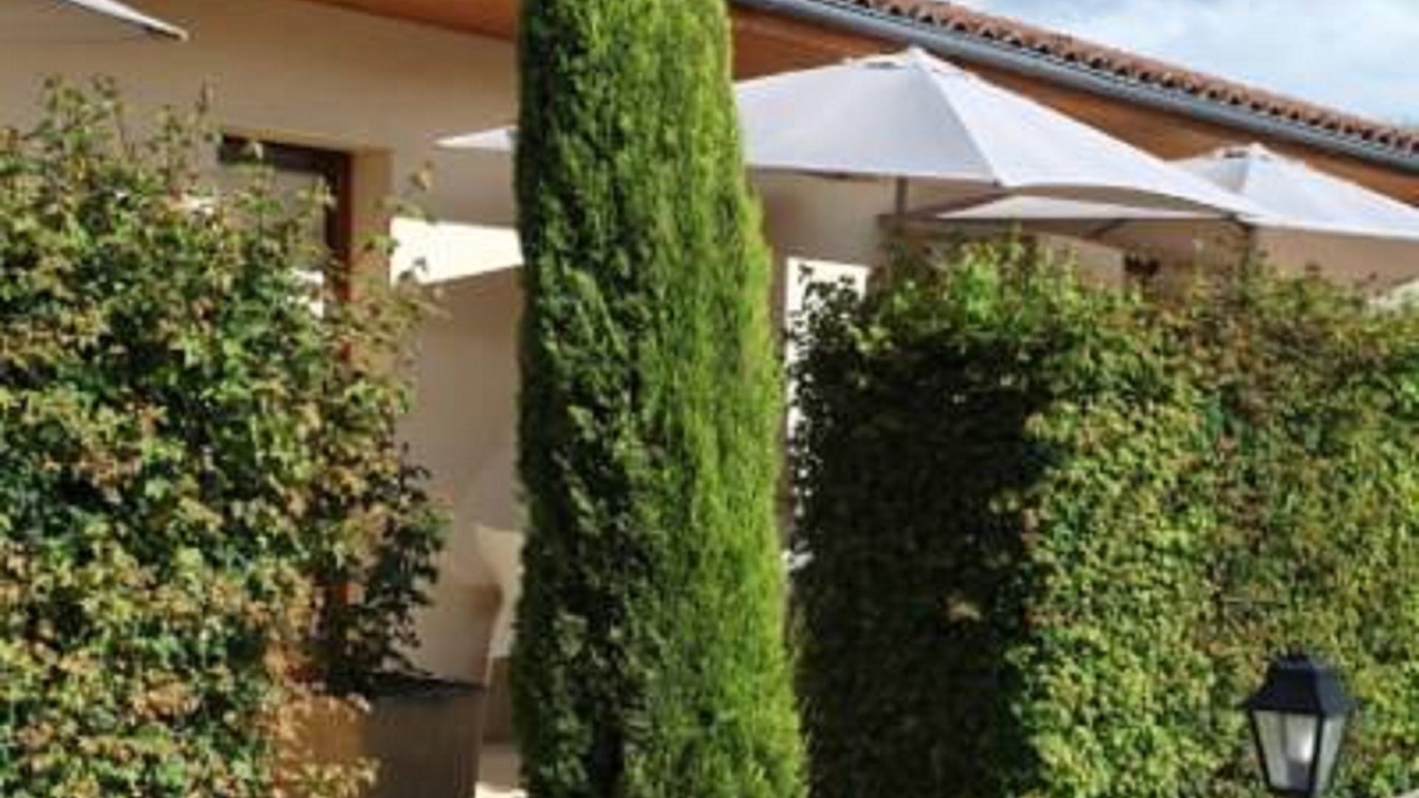 Photo of Outdoor in Sarlat-la-Caneda