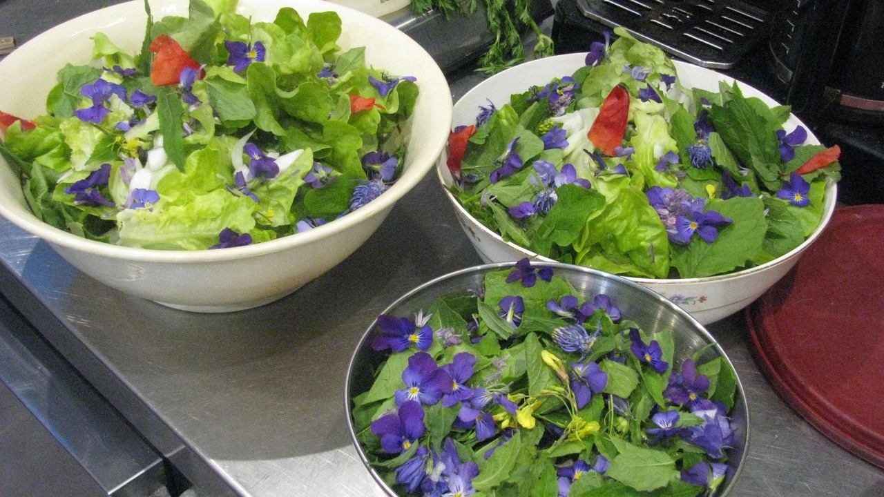 Photo of Others in Saint-Andre-en-Vivarais