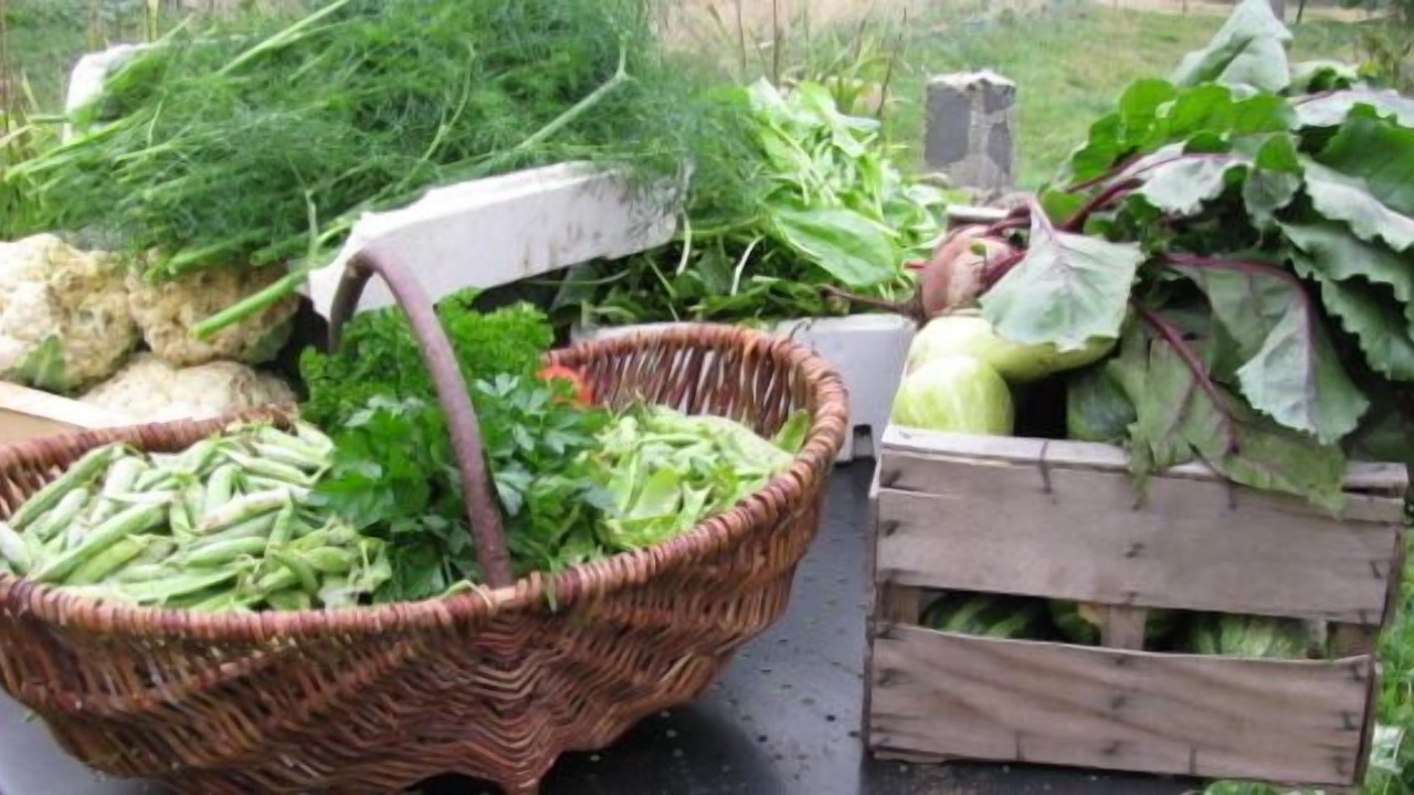 Photo of Outdoor in Saint-Andre-en-Vivarais