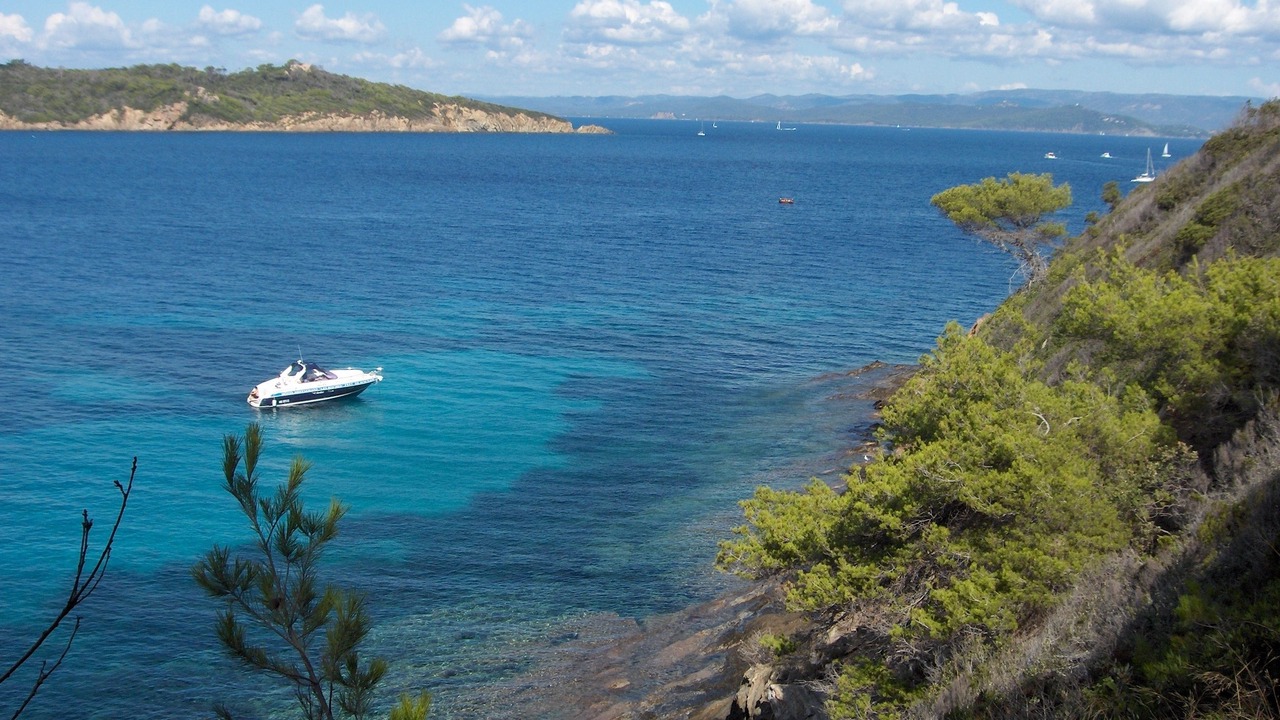 Photo of Others in Le Pradet