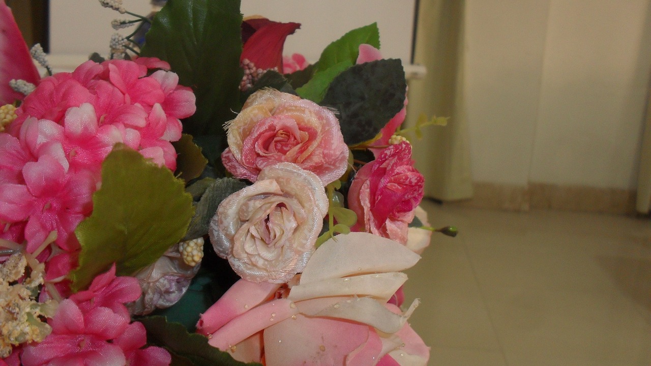 Photo of Others in Pinaesaan