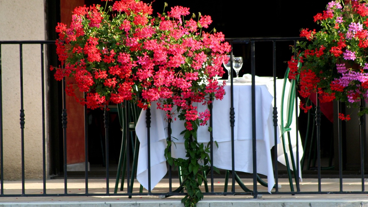Photo of Patio Balcony in Hieres-sur-Amby