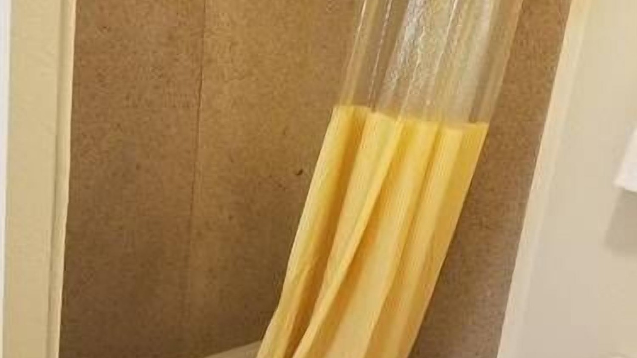 Photo of Others in Attleboro