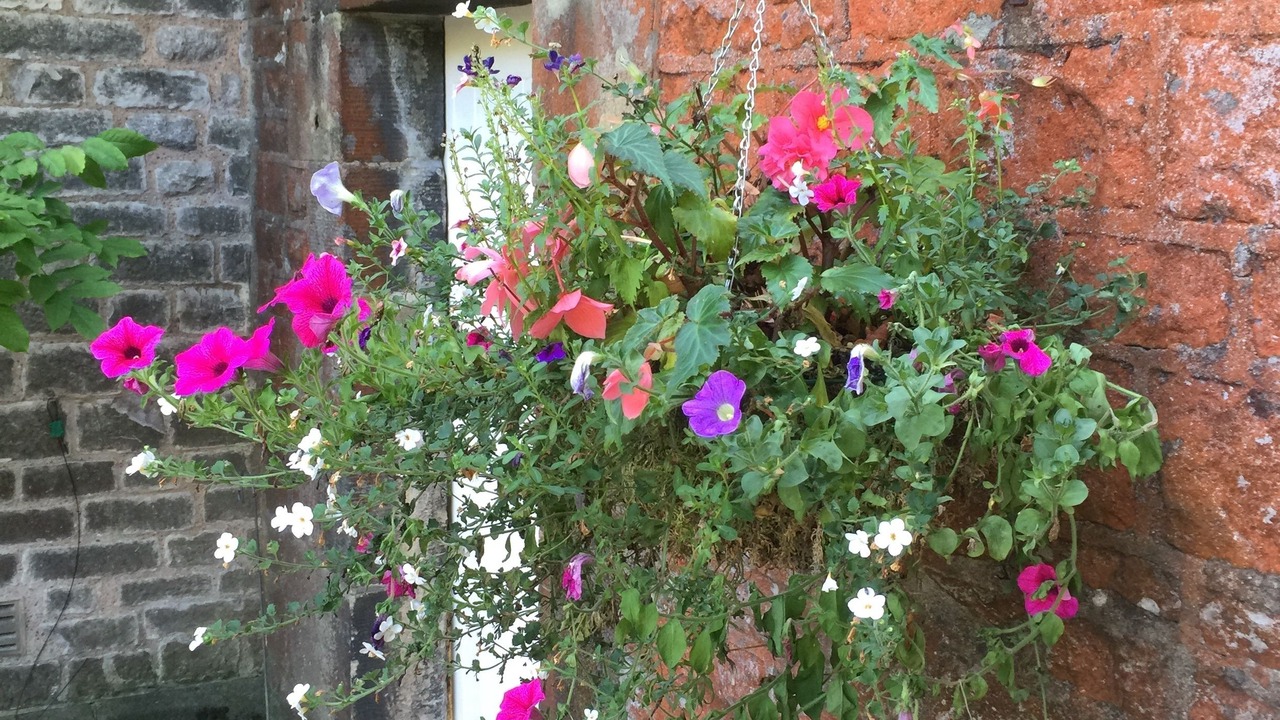 Photo of Outdoor in Tideswell