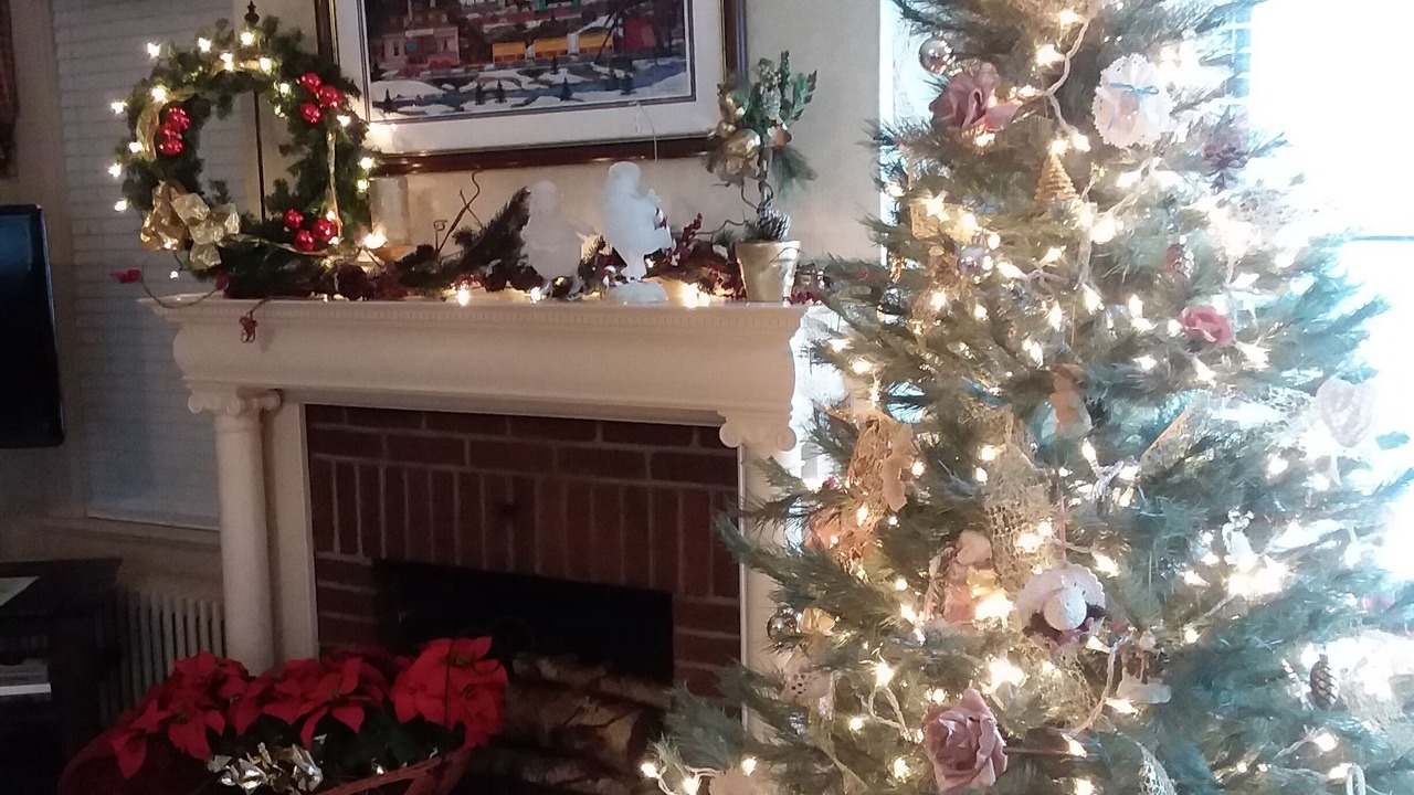 Photo of Livingroom in Punxsutawney