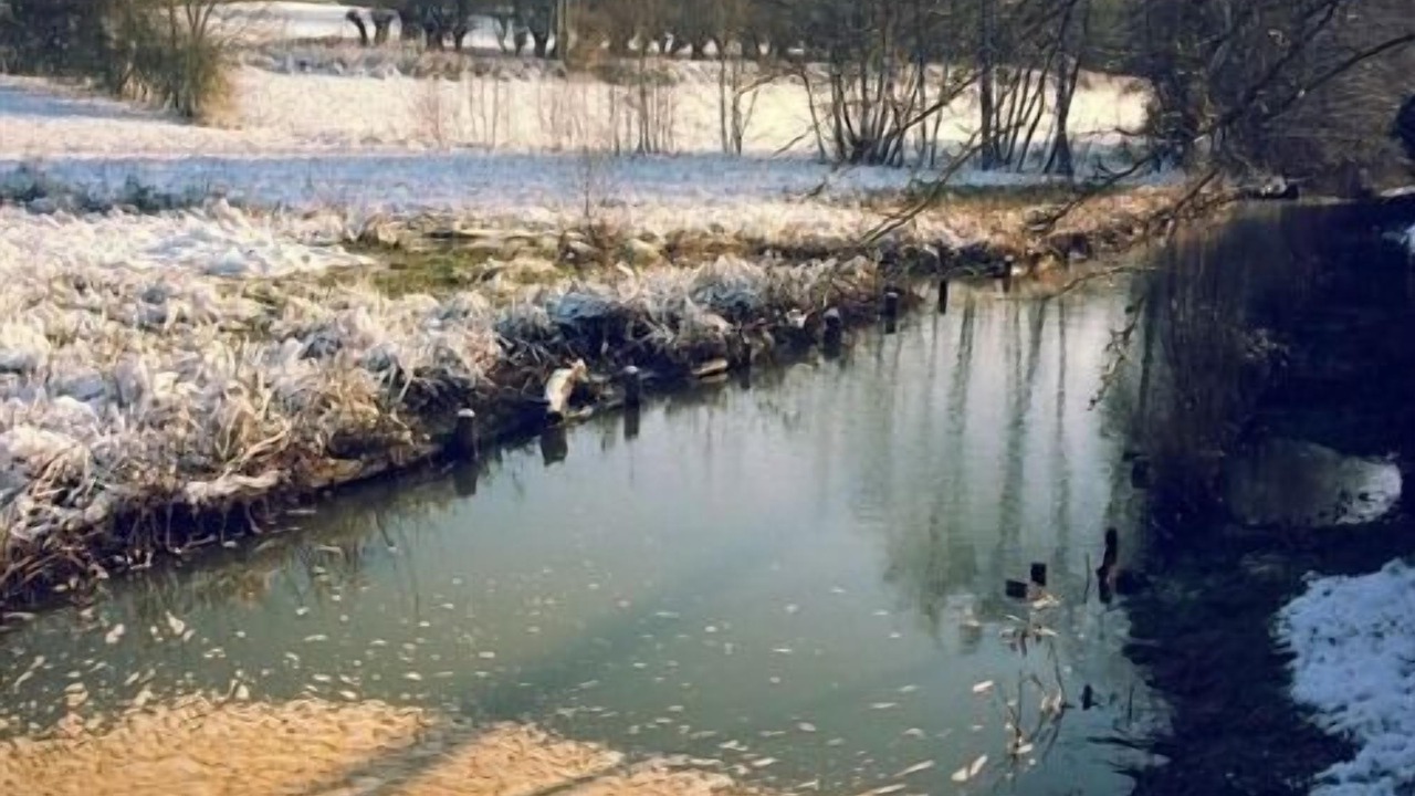 Photo of Outdoor in Eclaibes