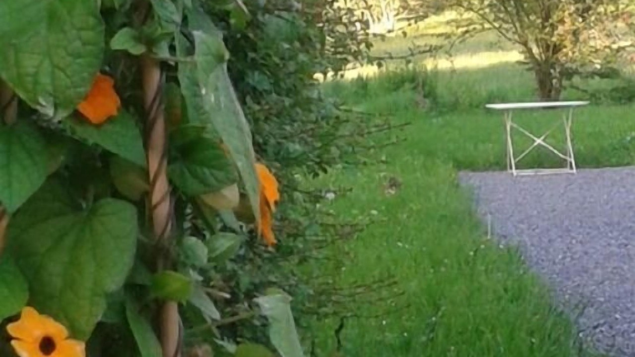 Photo of Outdoor in Eclaibes