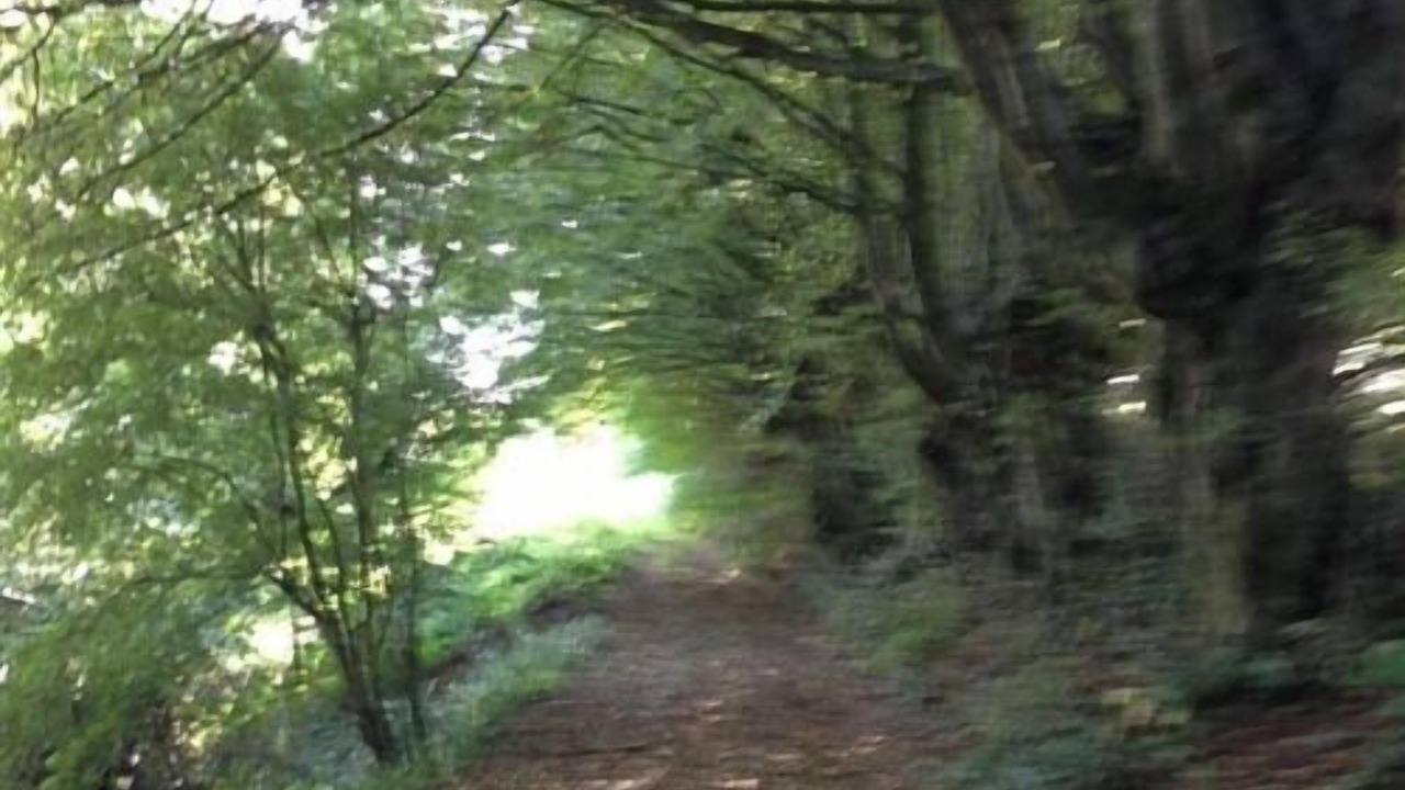 Photo of Outdoor in Eclaibes