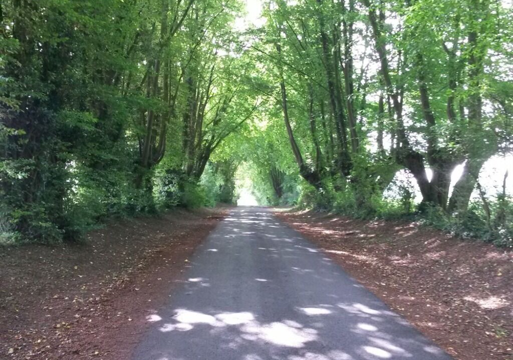 Photo of Outdoor in Eclaibes