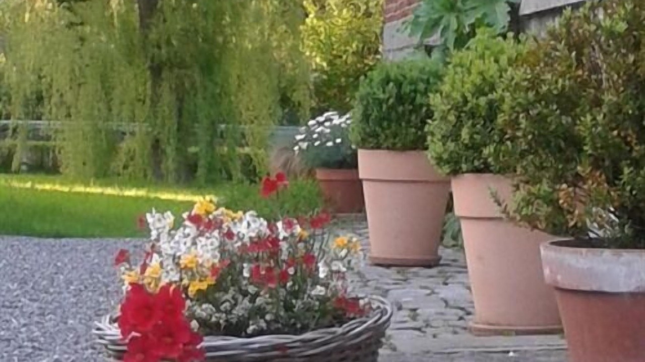 Photo of Outdoor in Eclaibes